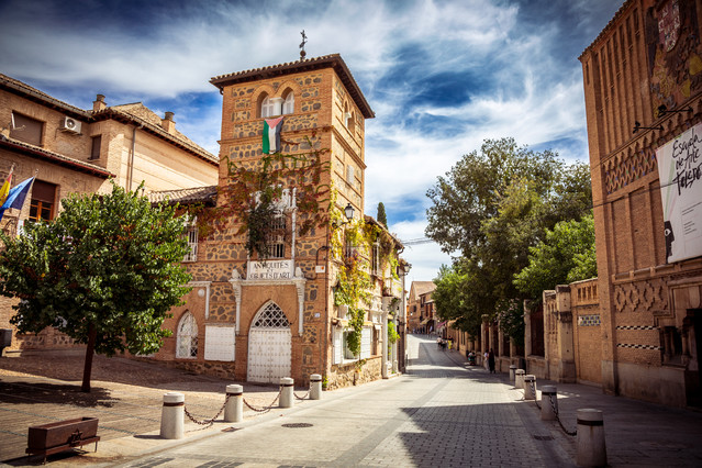 Toledo Toledo PIOTR SCHMIDT +48535444106 #348653