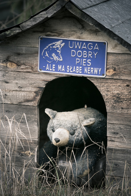 Waldemar Lamparski #237670