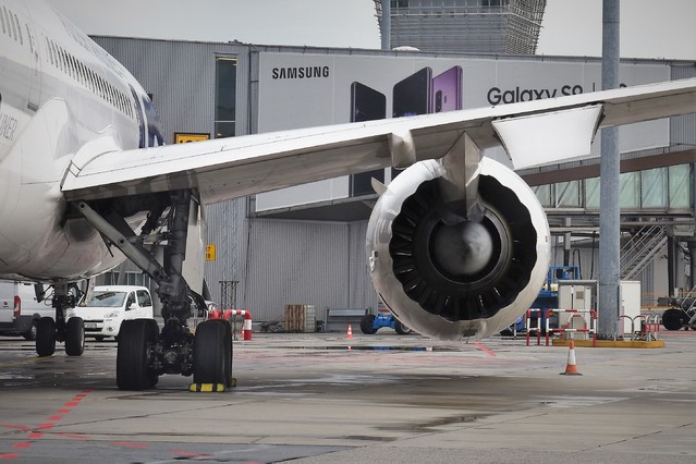 Krzysztof Ogonowski #317520