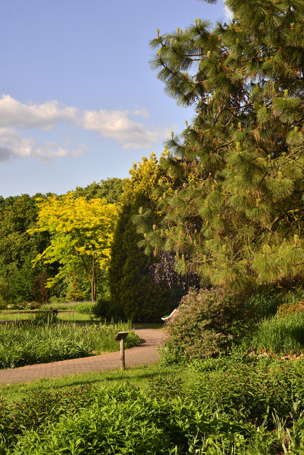 Powsin Dariusz WojtaIa #318792