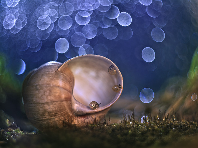 macrofun Trzech muszkieterów :)