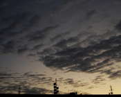 Picasa 