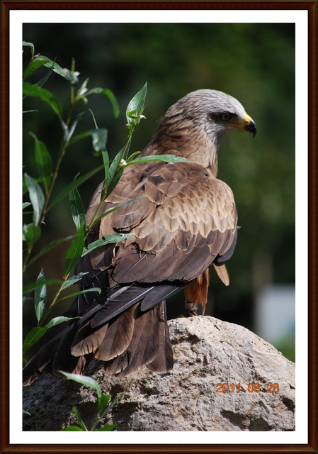 Krzysia Faderewicz #127675