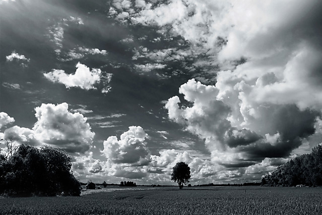 Sławek Siełacz SONY DSC