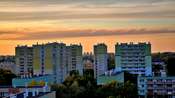 Picasa 
