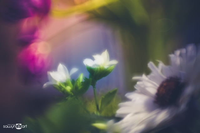 Tomasz Slawinski SawynArt #306069