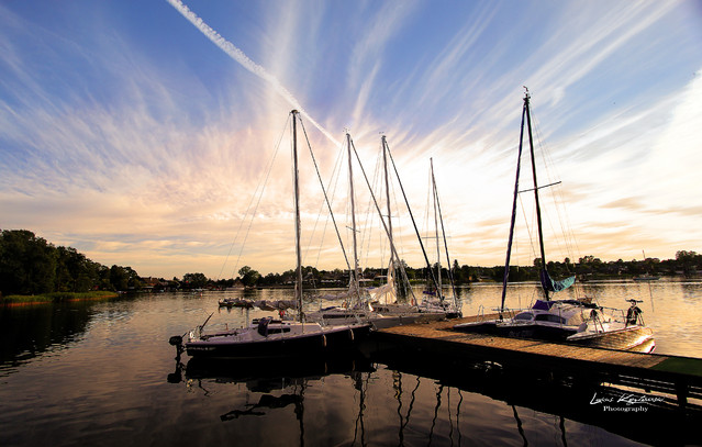 lkozphotography #159951