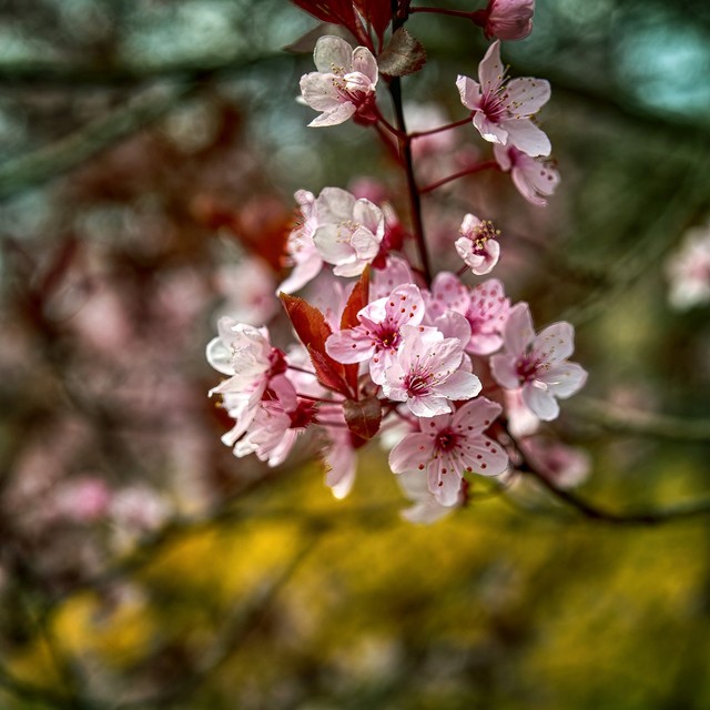 Tomasz Naglik #348876