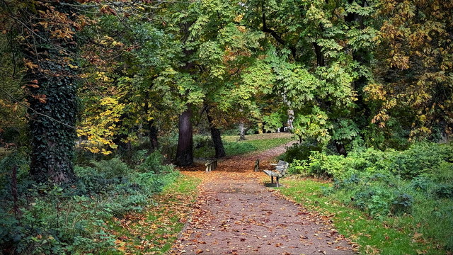 autumn '24 - N.Ireland atenytom #346300