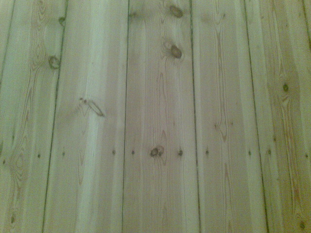 Janusz Metzger #199201