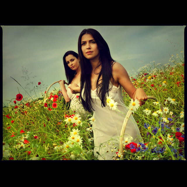 Andrzej Frankowski #175124