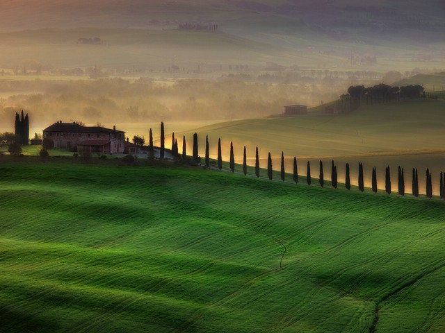 AdamPa 
