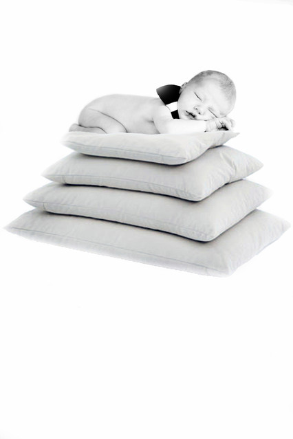 foto biegun fotobiegun #136974