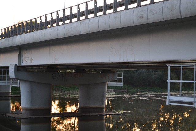 Aleksandra Kędzierska 