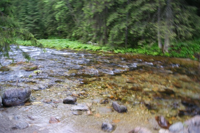 BAŁKA TATRZAŃSKA ZYGMUNT CZARNECKI #173931