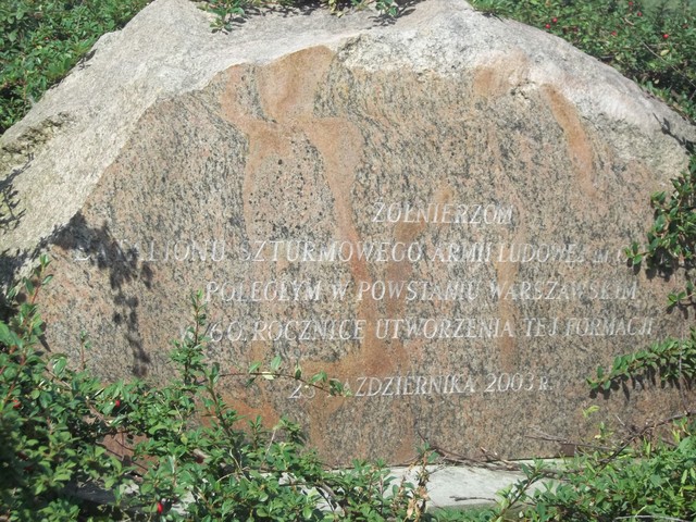 Joanna Pawlak #187591