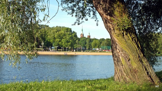 Na stawem Picasa #306875