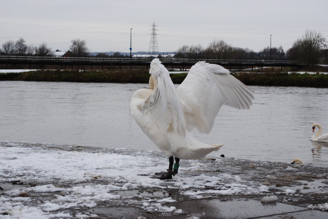 Agnieszka Nawrocka #288026