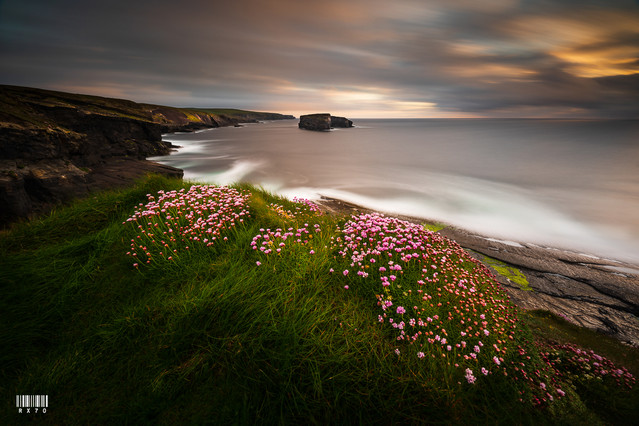 Kilkee Cliffs Ryszard Lomnicki #336468