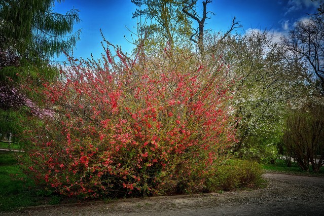 Tomasz Naglik #348877