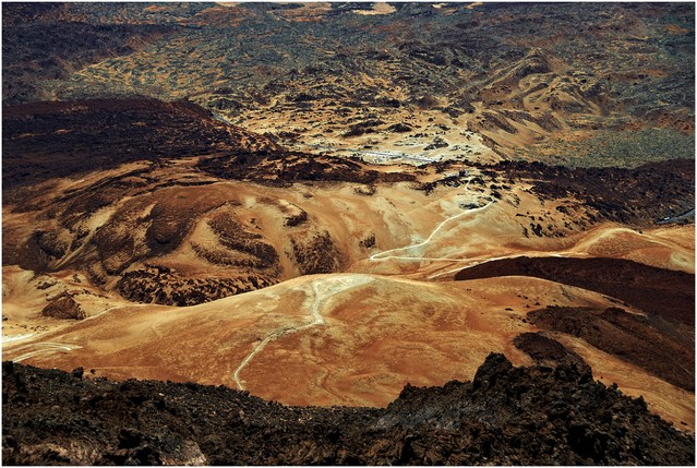 Andrzej Adamczyk #134220