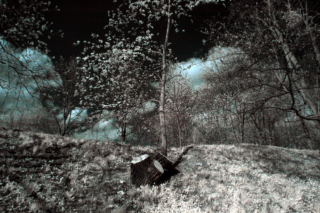 Tomasz Sikorski #129690