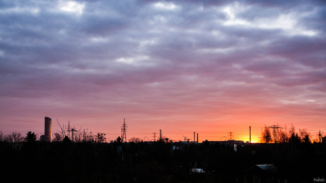 Jakub Schmidt #267775