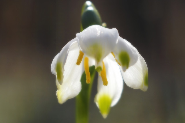 Sławek Rezerwa #348802