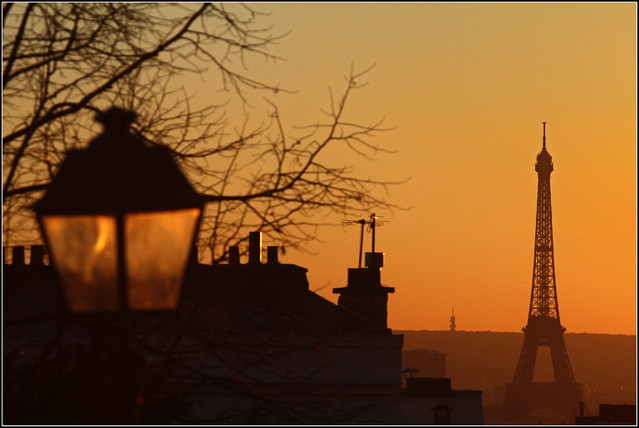 François-olivier d'Utrique #202954