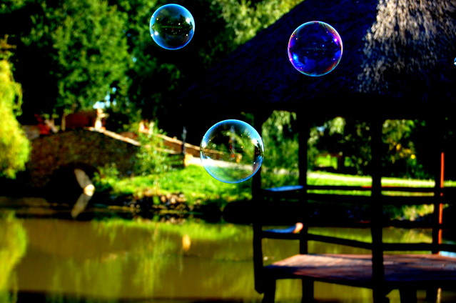 Picasa 