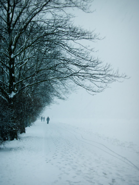 Marcin B 