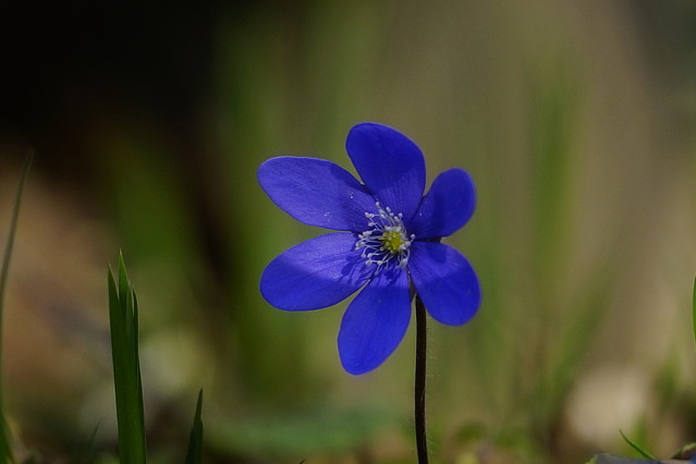 Sławek Rezerwa #348885