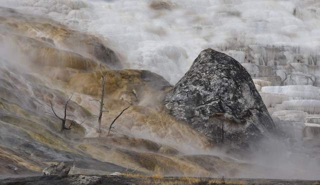 Yellowstone National Park. Stanisław Hawrus #346502