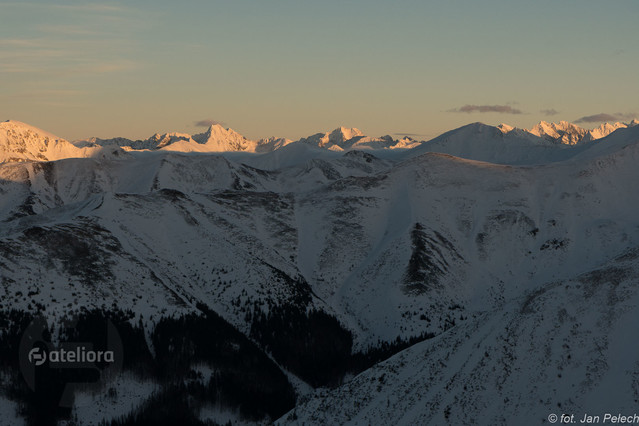 J.Pawel Pelech #313919