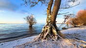 atenytom winter '26 - Lough Neagh - N.Ireland