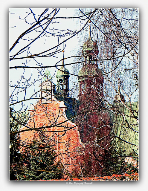 Picasa Katedra Oliwska