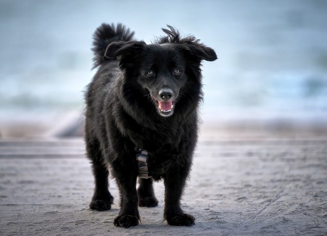 SONY DSC SONY DSC Tomasz Naglik #348087