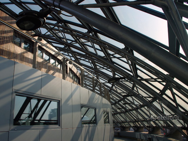 Barbara Prasnowska #136504