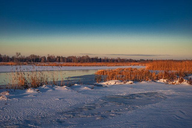 Zimowy Bug Igor Godlewski #335487