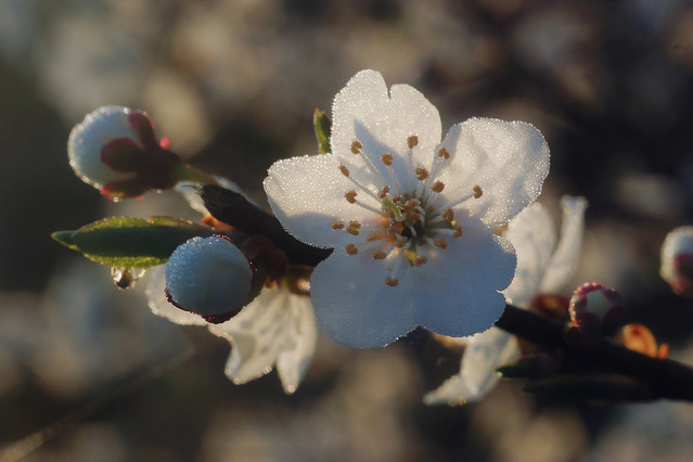 Sławek Rezerwa Byle do wiosny
