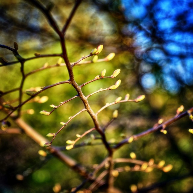Tomasz Naglik #348948