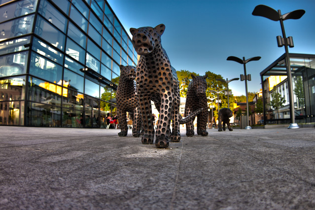 UFFO Trutnov 2012 Photographer: Dariusz Golczewski #150397