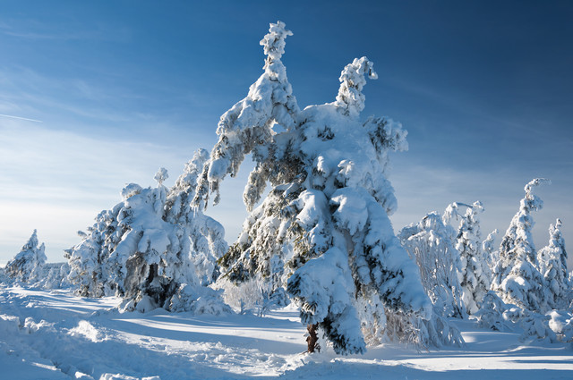 zbynek Góry Izerskie Stóg Izerski - Świeradów Zdrój