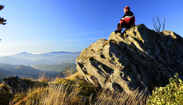Janusz Mojżesz #269920