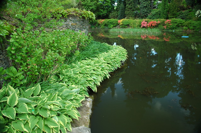 qcyber Arboretum w Wojsławicach