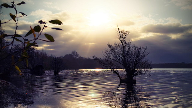 atenytom autumn awakening