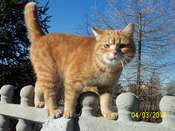 Izabella Kruszlińska 