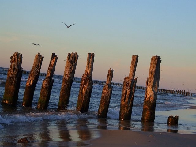 Edyta Posłuszna #110507