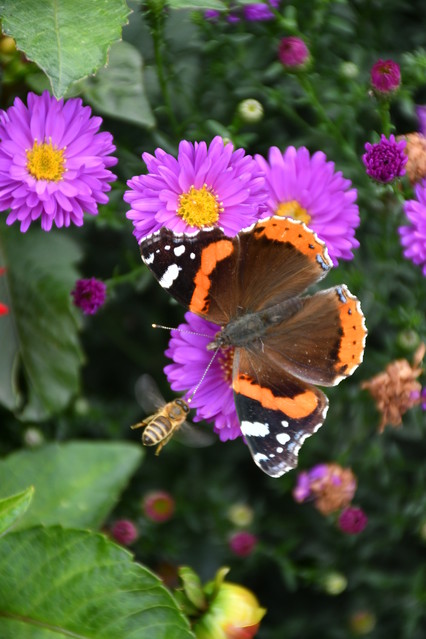 MARIUSZ_CYBULA #326924