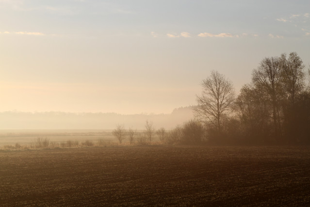 Mgła pod słońce - Bieliszów Maciej Frolow #143540